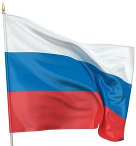 Государственный флаг РФ 225*150
